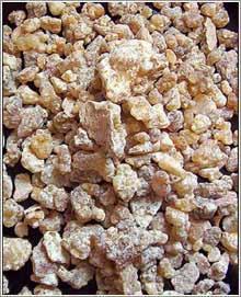 Boswellia serrata