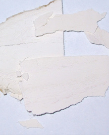 Pueraria Tuberosa