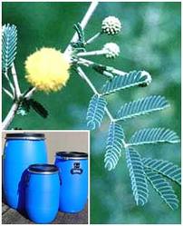Acacia Catechu Extract