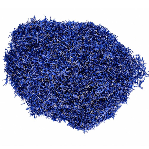 Blue Cornflower