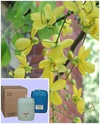 Cassia Fistula Extract