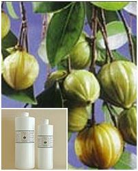 Garcinia Cambogia Extract