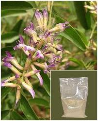 Glycyrrhiza Glabra Extract