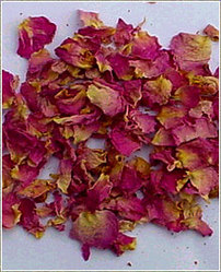 Rose Petals