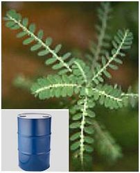 Phyllanthus Amarus Extract