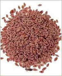 Psyllium Husk