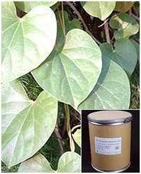 Tinospora Cordifolia Extract